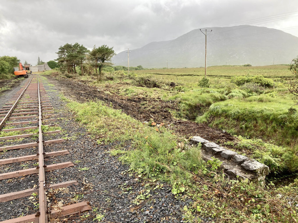 Vegetation clearance  