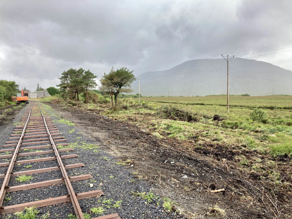 Vegetation clearance  